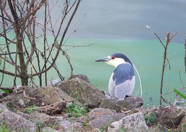 </BR>Maker: FUJIFILM</BR>Model: FinePix REAL 3D W3</BR>Exposure Time: 1/170s</BR>F-stop: f/4</BR>ISO: 400</BR>Focal Length: 17mm