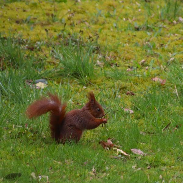 </BR>Maker: CANON</BR>Model: Canon EOS Rebel SL3</BR>Exposure Time: 1/640s</BR>F-stop: f/5.6</BR>ISO: 640</BR>Focal Length: 300mm