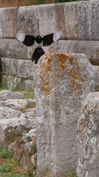 </BR>Maker: CANON</BR>Model: Canon PowerShot SX740 HS</BR>Exposure Time: 1/500s</BR>F-stop: f/5.6</BR>ISO: 160</BR>Focal Length: 34mm