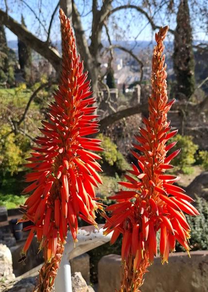 </BR>Maker: SAMSUNG</BR>Model: Galaxy A55 5G</BR>Exposure Time: 1/991s</BR>F-stop: f/1.8</BR>ISO: 50</BR>Focal Length: 6mm</BR>35mm Focal Length: 23mm