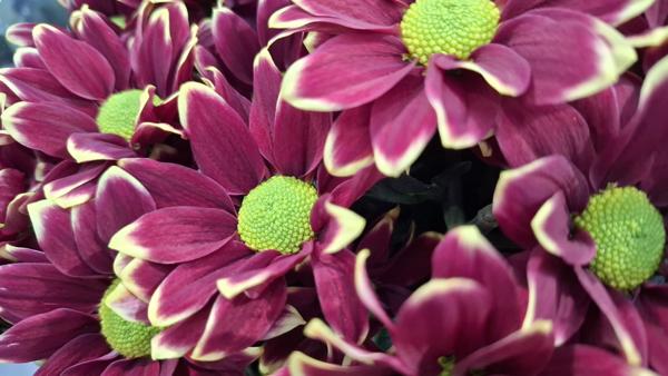 </BR>Maker: SAMSUNG</BR>Model: Galaxy A55 5G</BR>Exposure Time: 1/33s</BR>F-stop: f/1.8</BR>ISO: 320</BR>Focal Length: 6mm</BR>35mm Focal Length: 23mm