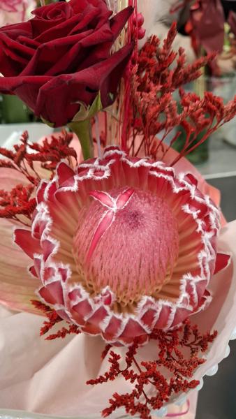 </BR>Maker: SAMSUNG</BR>Model: Galaxy A55 5G</BR>Exposure Time: 1/50s</BR>F-stop: f/1.8</BR>ISO: 200</BR>Focal Length: 6mm</BR>35mm Focal Length: 23mm