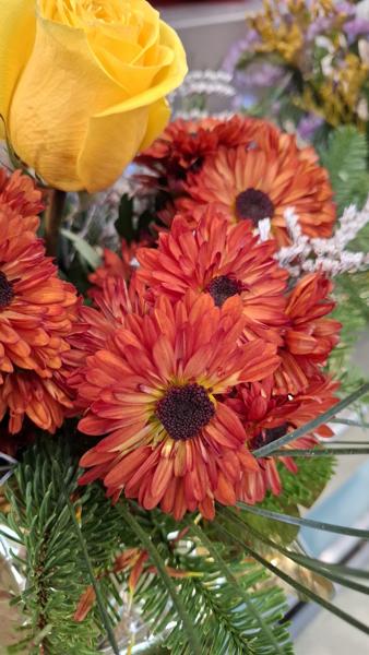 </BR>Maker: SAMSUNG</BR>Model: Galaxy A55 5G</BR>Exposure Time: 1/50s</BR>F-stop: f/1.8</BR>ISO: 200</BR>Focal Length: 6mm</BR>35mm Focal Length: 23mm