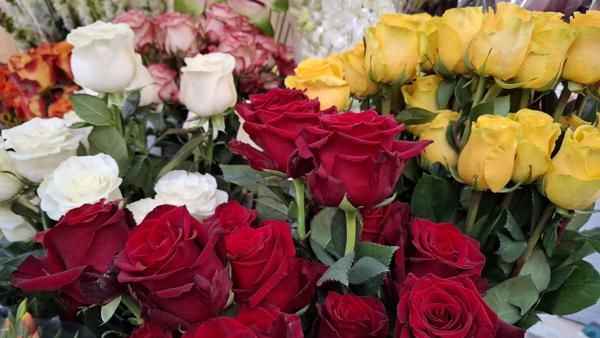 </BR>Maker: SAMSUNG</BR>Model: Galaxy A55 5G</BR>Exposure Time: 1/50s</BR>F-stop: f/1.8</BR>ISO: 250</BR>Focal Length: 6mm</BR>35mm Focal Length: 23mm