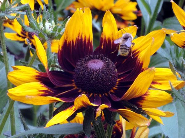 </BR>Maker: SONY</BR>Model: DSC-WX1</BR>Exposure Time: 1/125s</BR>F-stop: f/5.9</BR>ISO: 250</BR>Focal Length: 22mm