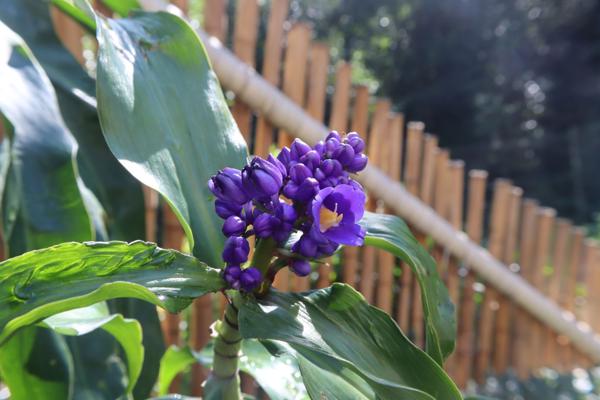 </BR>Maker: CANON</BR>Model: Canon EOS Rebel SL3</BR>Exposure Time: 1/60s</BR>F-stop: f/10</BR>ISO: 200</BR>Focal Length: 18mm