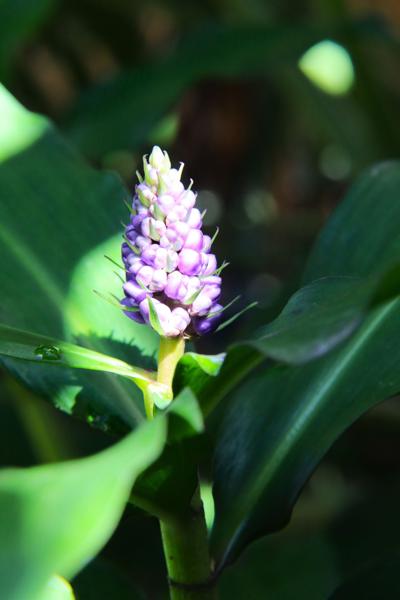 </BR>Maker: CANON</BR>Model: Canon EOS Rebel SL3</BR>Exposure Time: 1/125s</BR>F-stop: f/10</BR>ISO: 1000</BR>Focal Length: 55mm