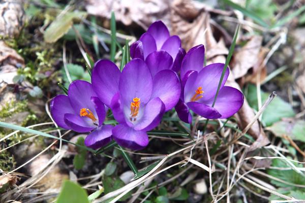 </BR>Maker: CANON</BR>Model: Canon EOS Rebel SL3</BR>Exposure Time: 1/60s</BR>F-stop: f/5.6</BR>ISO: 160</BR>Focal Length: 18mm