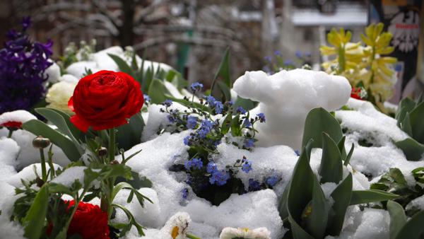 </BR>Maker: CANON</BR>Model: Canon EOS Rebel SL3</BR>Exposure Time: 1/800s</BR>F-stop: f/6.3</BR>ISO: 100</BR>Focal Length: 38mm