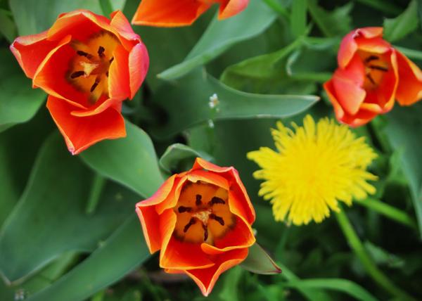 </BR>Maker: CANON</BR>Model: Canon EOS Rebel SL3</BR>Exposure Time: 1/400s</BR>F-stop: f/5.6</BR>ISO: 800</BR>Focal Length: 98mm