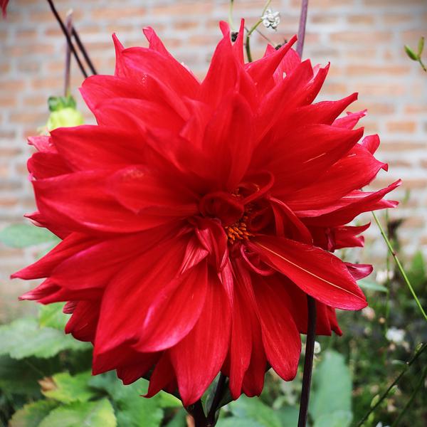 </BR>Maker: CANON</BR>Model: Canon EOS Rebel SL3</BR>Exposure Time: 1/80s</BR>F-stop: f/4</BR>ISO: 125</BR>Focal Length: 18mm