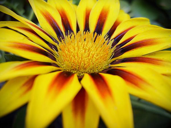 DIGITAL CAMERA</BR>Maker: DIGITAL</BR>Model: Digital Cam</BR>Exposure Time: 1/52s</BR>F-stop: f/2.8</BR>ISO: 200</BR>Focal Length: 6mm