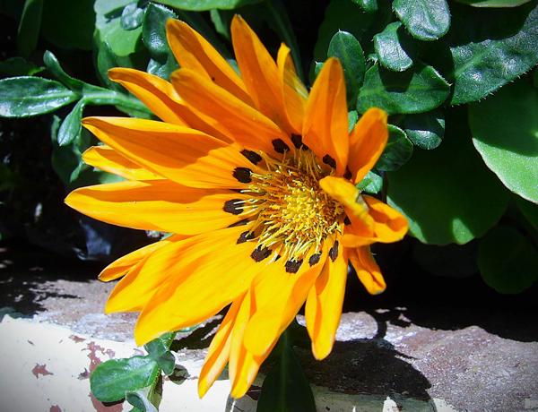 DIGITAL CAMERA</BR>Maker: DIGITAL</BR>Model: Digital Cam</BR>Exposure Time: 1/170s</BR>F-stop: f/5.88</BR>ISO: 100</BR>Focal Length: 6mm