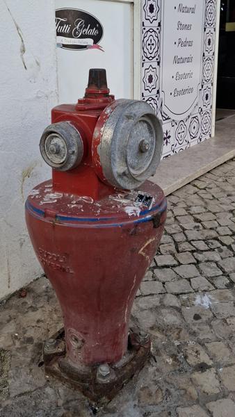 </BR>Maker: SAMSUNG</BR>Model: Galaxy A55 5G</BR>Exposure Time: 1/495s</BR>F-stop: f/1.8</BR>ISO: 50</BR>Focal Length: 6mm</BR>35mm Focal Length: 23mm