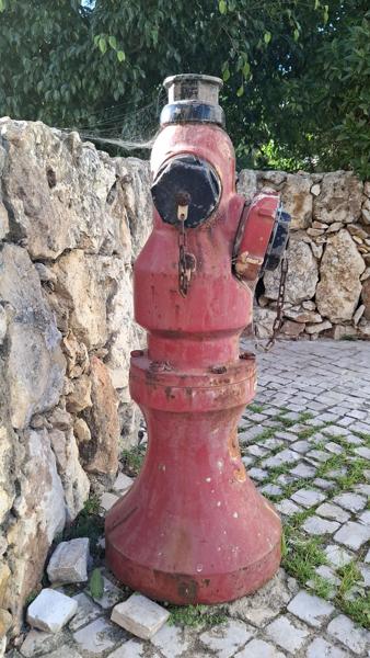 </BR>Maker: SAMSUNG</BR>Model: Galaxy A55 5G</BR>Exposure Time: 1/195s</BR>F-stop: f/1.8</BR>ISO: 50</BR>Focal Length: 6mm</BR>35mm Focal Length: 23mm