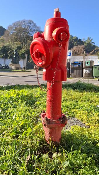 </BR>Maker: SAMSUNG</BR>Model: Galaxy A55 5G</BR>Exposure Time: 1/844s</BR>F-stop: f/1.8</BR>ISO: 50</BR>Focal Length: 6mm</BR>35mm Focal Length: 23mm