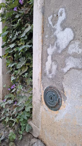 </BR>Maker: SAMSUNG</BR>Model: Galaxy A55 5G</BR>Exposure Time: 1/100s</BR>F-stop: f/1.8</BR>ISO: 50</BR>Focal Length: 6mm</BR>35mm Focal Length: 23mm