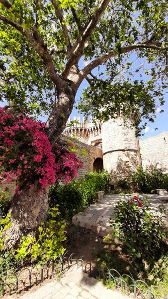 </BR>Maker: SAMSUNG</BR>Model: SM-A505F</BR>Exposure Time: 1/504s</BR>F-stop: f/2.2</BR>ISO: 40</BR>Focal Length: 2mm</BR>35mm Focal Length: 13mm