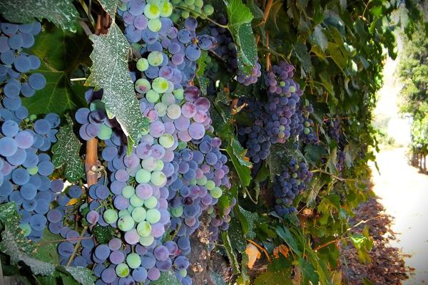 </BR>Maker: FUJIFILM</BR>Model: FinePix REAL 3D W3</BR>Exposure Time: 1/320s</BR>F-stop: f/3.7</BR>ISO: 200</BR>Focal Length: 7mm