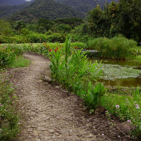 OLYMPUS DIGITAL CAMERA</BR>Maker: OLYMPUS IMAGING CORP.</BR>Model: FE310,X840,C530</BR>Exposure Time: 1/320s</BR>F-stop: f/3.3</BR>ISO: 80</BR>Focal Length: 7mm