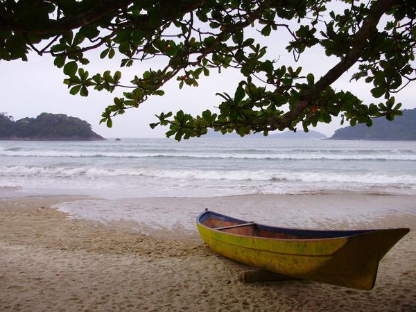 OLYMPUS DIGITAL CAMERA</BR>Maker: OLYMPUS IMAGING CORP.</BR>Model: FE310,X840,C530</BR>Exposure Time: 1/800s</BR>F-stop: f/3.3</BR>ISO: 80</BR>Focal Length: 7mm