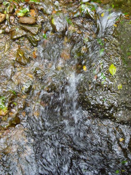 </BR>Maker: SONY</BR>Model: DSC-P92</BR>Exposure Time: 1/40s</BR>F-stop: f/4.5</BR>ISO: 100</BR>Focal Length: 16mm