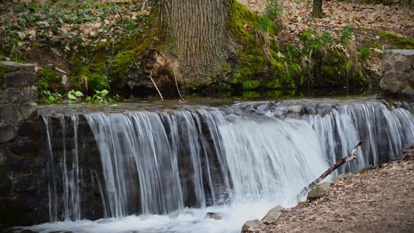 </BR>Maker: CANON</BR>Model: Canon EOS Rebel SL3</BR>Exposure Time: 1/20s</BR>F-stop: f/6.3</BR>ISO: 250</BR>Focal Length: 98mm